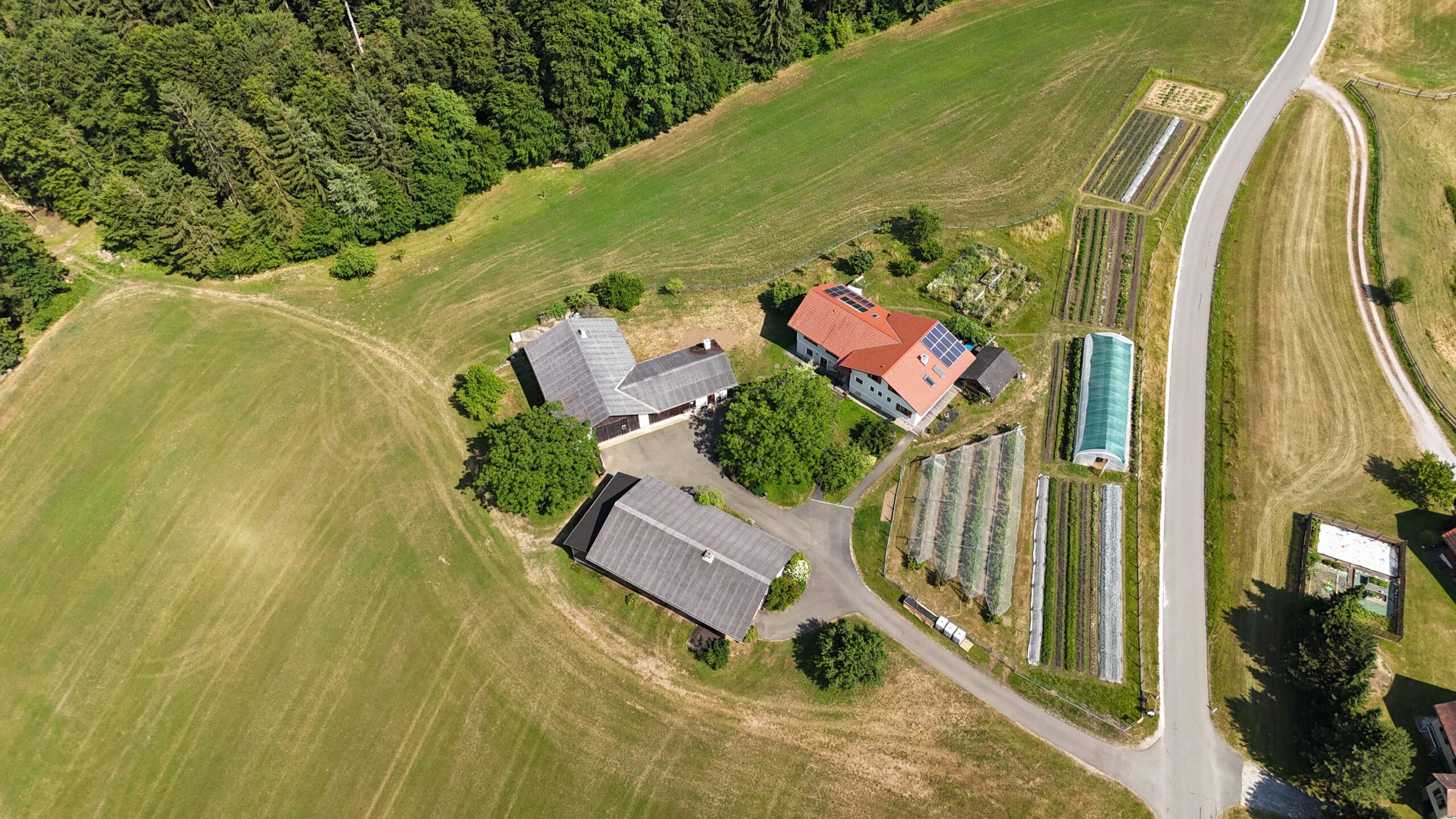 Halbzeit bei der Wilden Ernte